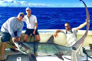 Hollywood Sportfishing Charter