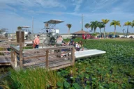 Miami Everglades Tour in French 4 hr thumbnail 6