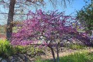 Los Angeles River Eco Tour and Secret Stair Hike thumbnail 2