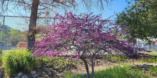 Los Angeles River Eco Tour and Secret Stair Hike - Image 2