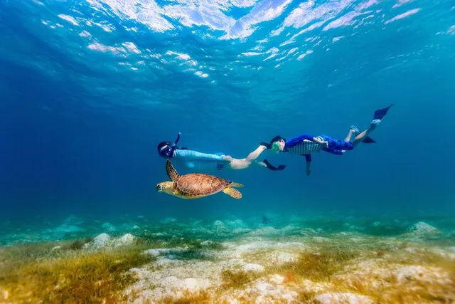 Waikiki Snorkel Tour at Turtle Canyon 105 min - Image 1