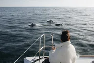 Newport Beach Private Sailing Charter thumbnail 3