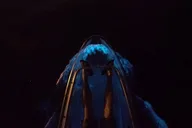 Merritt Island Clear Kayak Bioluminescence Tour 2 hr thumbnail 1