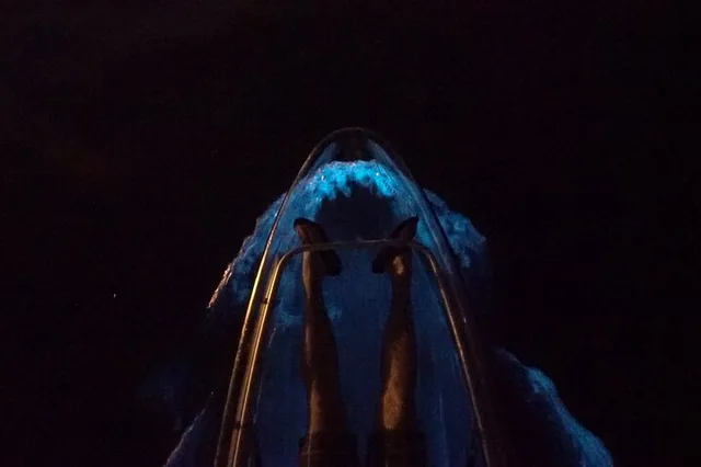 Merritt Island Clear Kayak Bioluminescence Tour 2 hr - Image 1