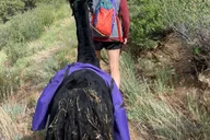 Denver Llama Hike in the Rocky Mountains thumbnail 4