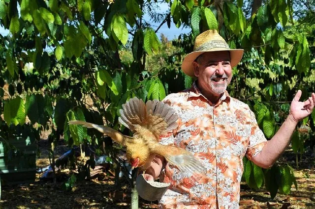 Holualoa Farm Tour: Coffee and Chocolate Experience - Image 6