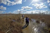 Everglades Eco Adventure with Biologist Walk and Boat Trips thumbnail 5