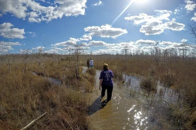 Everglades Eco Adventure with Biologist Walk and Boat Trips - Image 5
