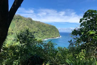 Maui Road to Hana Private Tour