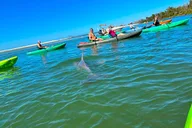 Bonita Springs Eco Kayak Tour thumbnail 6