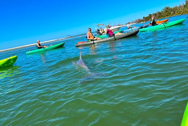 Bonita Springs Eco Kayak Tour - Image 6