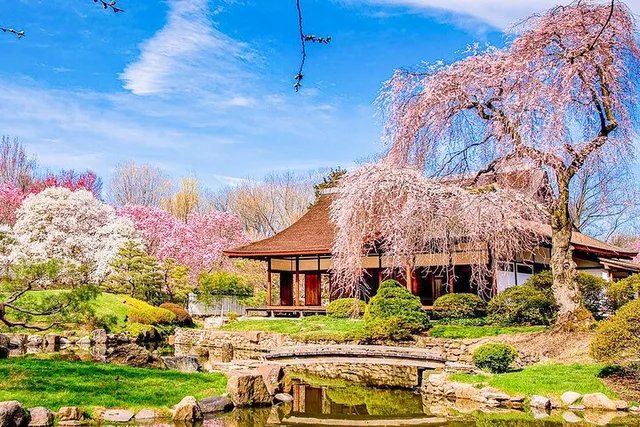 Philadelphia Cherry Blossom Tour from New York - Image 4