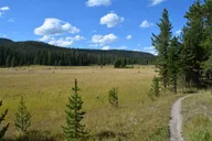 Yellowstone DeLacy Creek Trail Hike to Shoshone Lake thumbnail 3