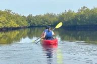 Robinson Preserve Mangrove Kayak Tour thumbnail 5