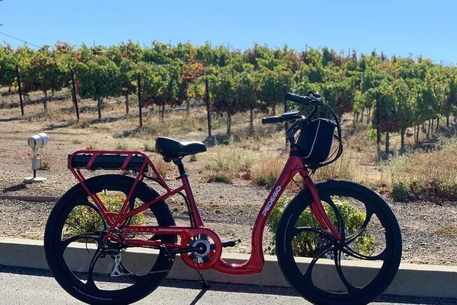 Livermore Electric Bike Rental - Image 3