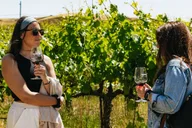 San Francisco Napa and Sonoma Wine Tour thumbnail 6