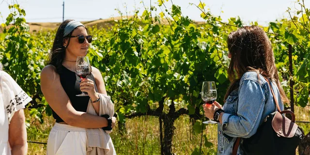 San Francisco Napa and Sonoma Wine Tour - Image 6