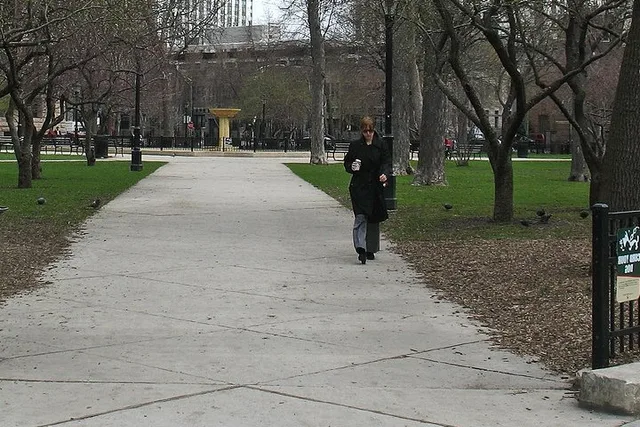 Chicago Audio Tour of Storied Neighborhood - Image 2