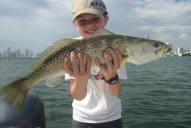 Miami Inshore Fishing Trip 6 hr - Image 1