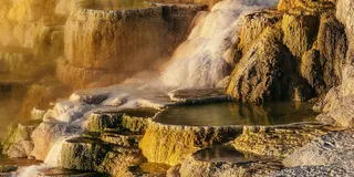 Yellowstone National Park 2-Day Tour