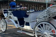 Galveston Historic Carriage Tour thumbnail 4