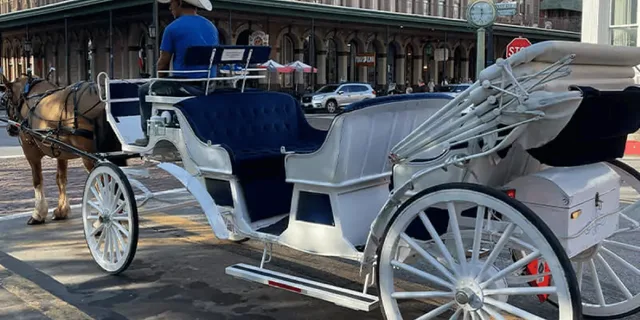 Galveston Historic Carriage Tour - Image 4