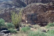 Arizona Grand Canyon Private Guided Tour thumbnail 4