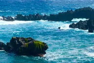 East Maui Rainforest and Road to Hana Tour thumbnail 6