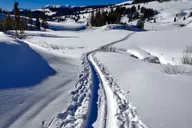 Gardiner Yellowstone National Park Snowshoe Tour 5 hr thumbnail 5