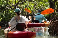 Sarasota Mangrove Tunnel Kayak Tour thumbnail 2