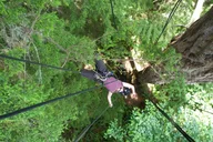 Lopez Island Tree Canopy Climbing thumbnail 3
