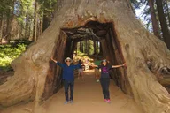 San Francisco Yosemite Private Tour 2 Days thumbnail 6