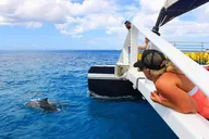 Ko Olina Catamaran Sail and Snorkel with Lunch thumbnail 4