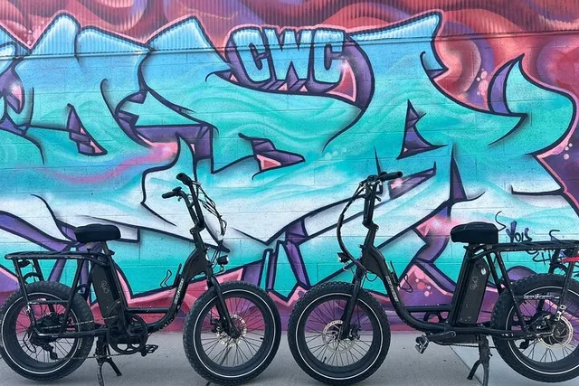 Asheville E-bike Tour of River Arts and Murals - Image 4