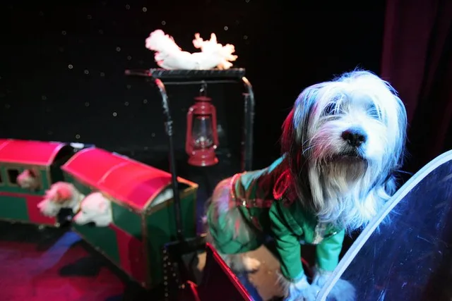 Las Vegas Comedy Pet Theater - Image 2