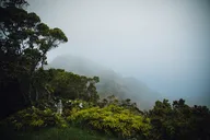 Kauai Waimea Canyon & Koke'e Tour from Oahu thumbnail 3