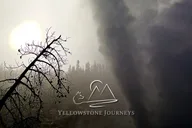 Gardiner Yellowstone Journey thumbnail 6