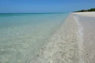 Naples Dolphin and Eco Cruise to Keewaydin Island 3 hr thumbnail 3
