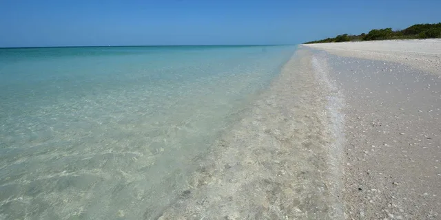 Naples Dolphin and Eco Cruise to Keewaydin Island 3 hr - Image 3