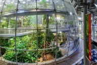 San Francisco California Academy of Sciences Entry Ticket thumbnail 5
