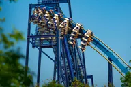 San Antonio SeaWorld Skip-the-Line Admission thumbnail 1