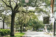Savannah Historic Walking Tour thumbnail 5