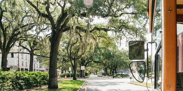 Savannah Historic Walking Tour - Image 5