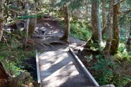 Juneau Tram and Trails Ale Tour thumbnail 4