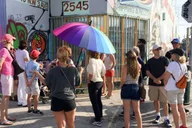 Miami Wynwood Arts District Walking Tour thumbnail 4