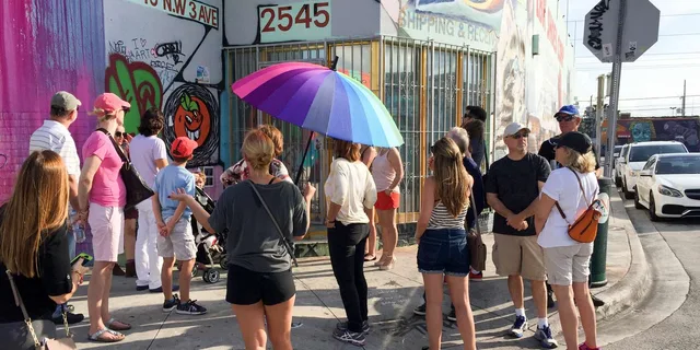 Miami Wynwood Arts District Walking Tour - Image 4