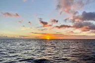 Waikiki Sunset Cruise thumbnail 5