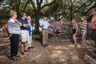 Charleston Walking Tour: Historic Highlights thumbnail 4