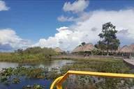 Everglades National Park Biologist Led Adventure thumbnail 4