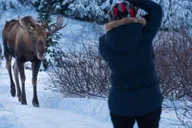 Anchorage Winter Wonderland Photo Tour 4 hr thumbnail 5